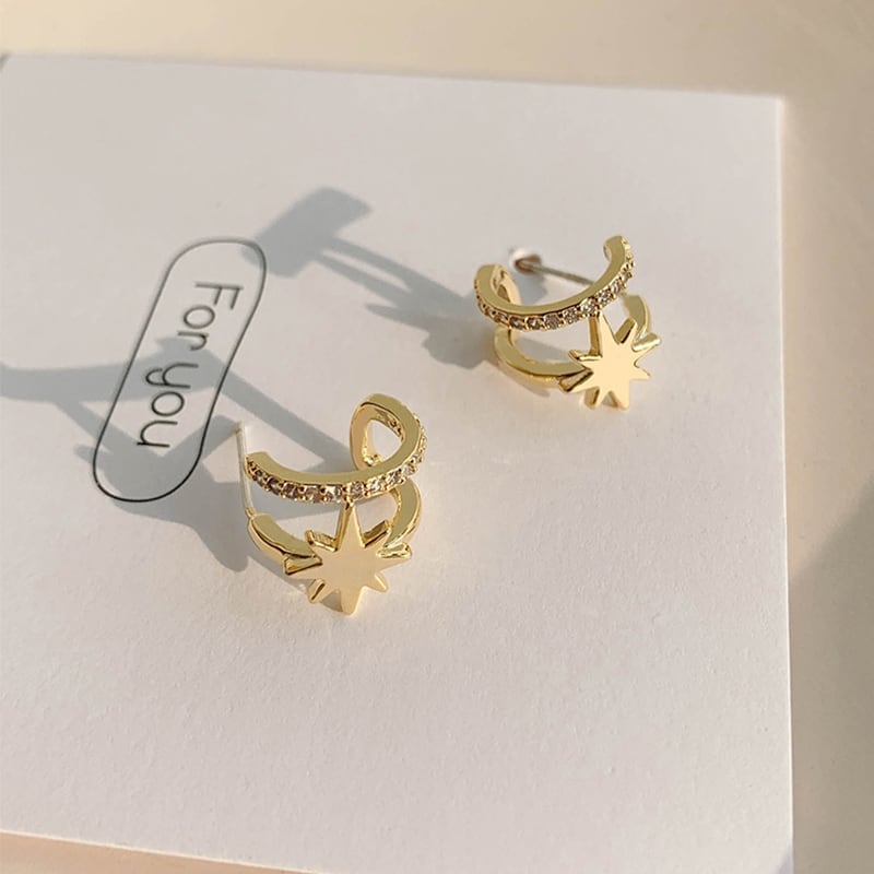 女性力を高める 着心地抜群 気質溢れる ピアス アクセサリー<ins-2984>